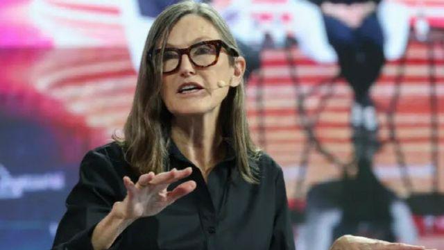 '돈나무 언니' 캐시 우드 