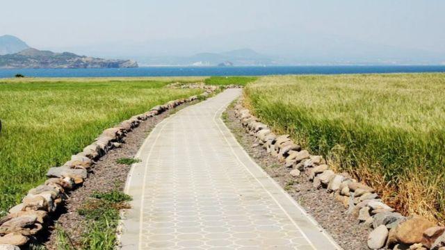 다리 아픈 어르신들도 좋아해요…2시간 만에 1바퀴 돈다는 '한국에서 가장 낮은 섬'