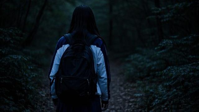 “폐가 체험 가자”... 여중생 유인해 야산에 버리고 도망간 30대 구속