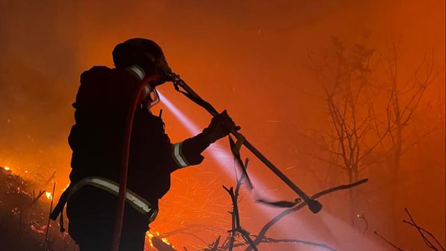 [속보] 봉화 문수암 인근서 산불 발생...안전 주의 당부