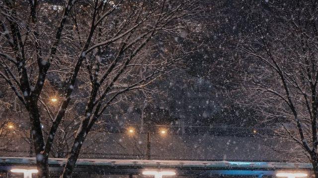 내가 찍은 사진 ㅁㅌㅊ