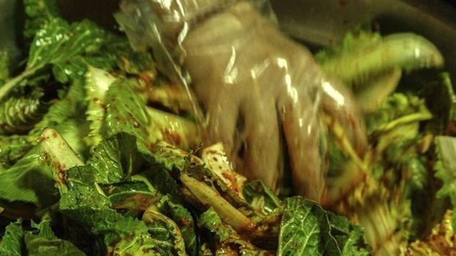 '2030도 반했다, 그냥 김치가 아닙니다..' 현재 우리나라 전국민 입맛 사로잡고 있는 '밥도둑' 김치 정체