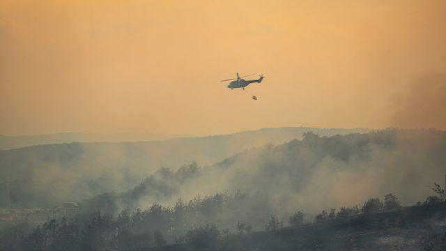 부산시 기장군 골프장서 불…1시간 20분 만에 초진