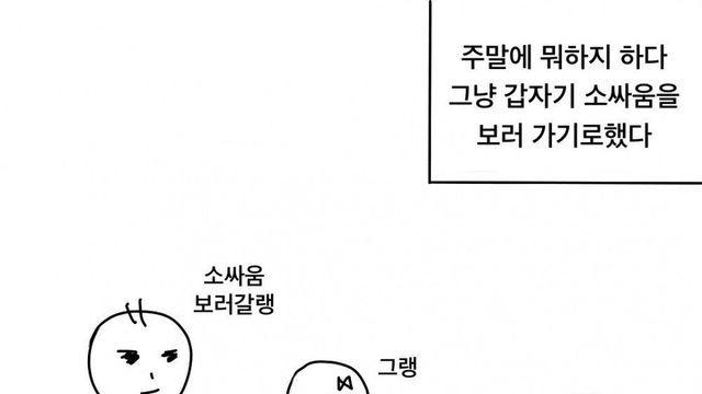 청도 소싸움 보러 간 후기 만화