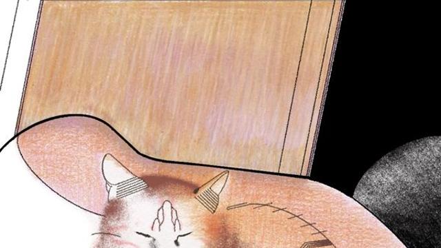 어떤 한 사람의 그림 이야기 - 뒤편의 고양이