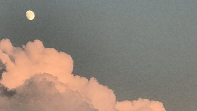 사진력 떡락 진짜 눈물난다