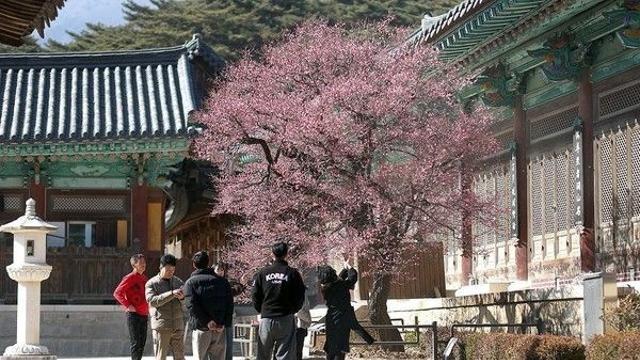절기 '우수' 뜻은?... 주말 날씨 포근, 봄기운 '성큼'