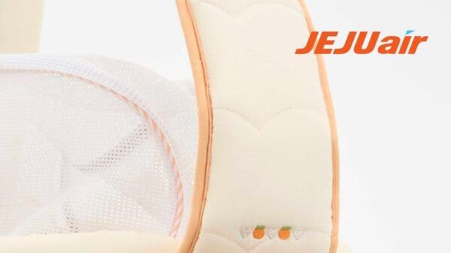 제주항공, 설 연휴 반려동물 예약 2000명 돌파…