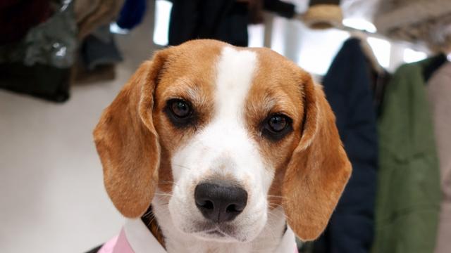 명절에도 뭐다?