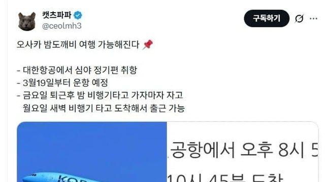님들 대한항공에서 오사카행 밤도깨비 비행기편 신설한대