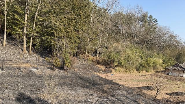 장흥서 농산물 소각 불씨 튀어 산불…1시간20분만에 진화