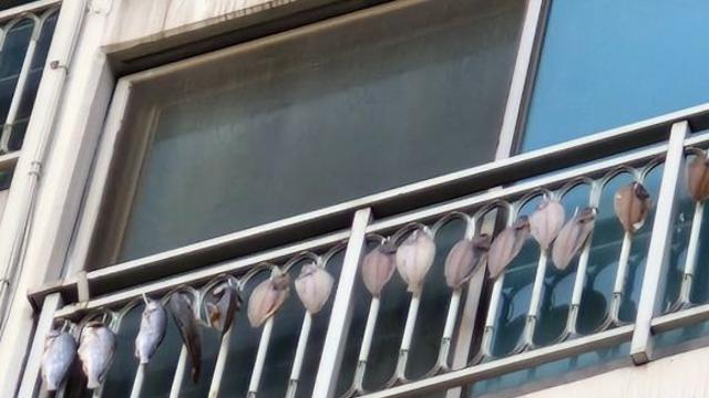 아파트 베란다에 ‘생선’이 주렁주렁…항의했더니 욕설