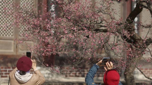 [내일날씨] 낮 최고 20도…전국 포근한 봄기운