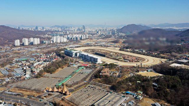 '준강남' 과천 아파트 이럴 수가…서울도 심상치 않은 신호