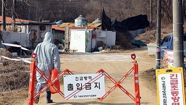 ASF 발생 '사료 의심'…경기도, 긴급 사용 중지 행정명령