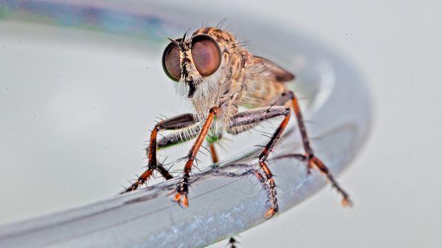 뎅기열 '팬데믹' 직면한 베트남, K-바이오 ‘구원투수’ 될까