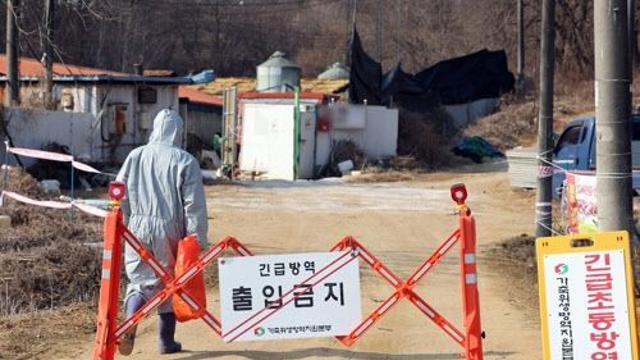 사료에서 발견된 ASF 바이러스, 경기도 긴급 사용중지