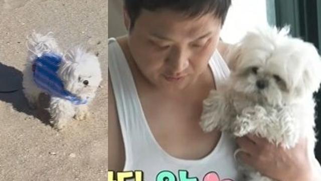 '구성환 반려견' 꽃분이 비보, 3주 전 모습 '먹먹'…지인도 충격. 광고 흔적까지 [엑's 이슈]