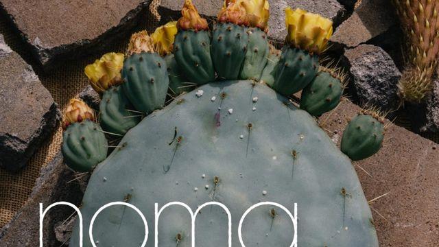 북유럽 미식의 상징, 무대를 옮기다