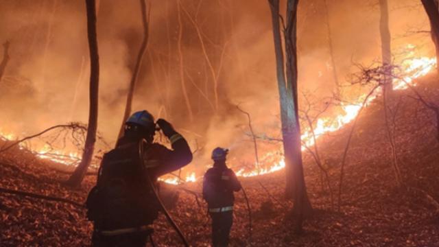 [속보] 서울 북한산 연화사인근 산불 