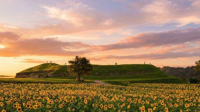 올라가자마자 감탄 나온다… 입장료 무료인데 인생샷 쏟아지는 '국내 여행지'