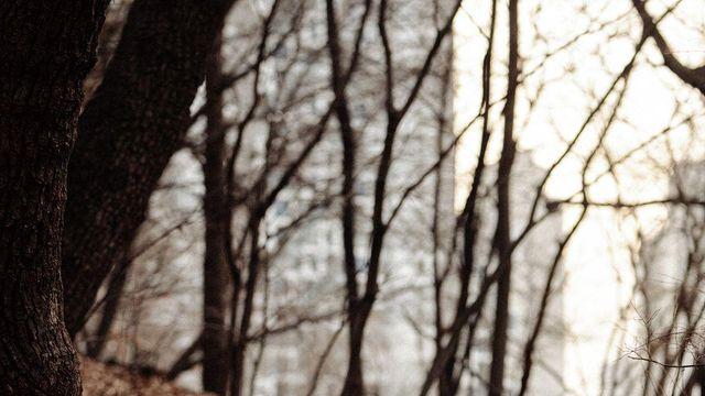 가정용 로봇은 지금 어디까지 와 있을까? 에디터의 실제 로봇개 사용 수기 (2)