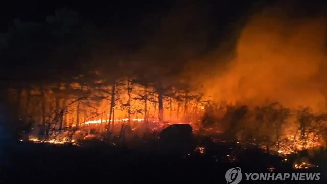 강원 고성 산불 1시간 50여분 만에 주불 진화…초기 진화 성공(종합2보)