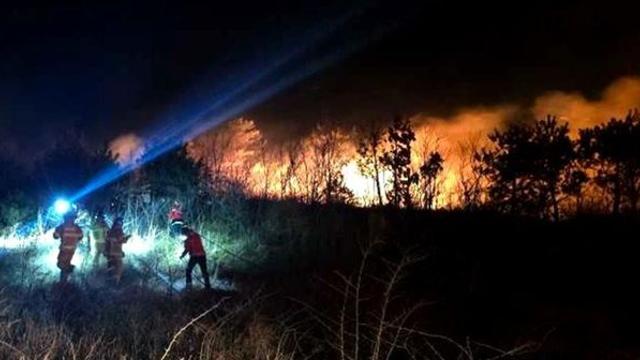 [속보] 강원 고성 토성면 인흥리 산불 확산...인근 주민 대피령