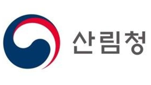 건조한 날씨 탓에 충청 곳곳에 산불 속출