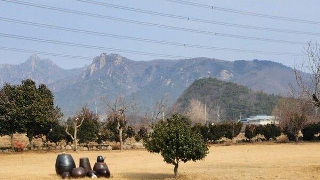 [윤나애의 녹색 미술관] 예술로 말하는 환경이야기: 정원과 자연 사이에서