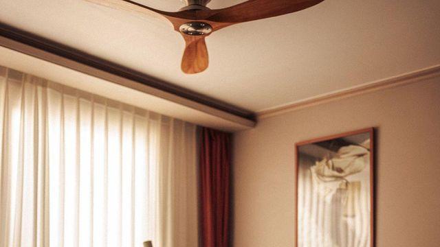 가정용 로봇은 지금 어디까지 와 있을까? 에디터의 실제 로봇개 사용 수기 (1)