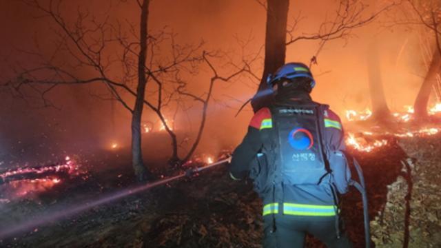 [속보] 포천 신북면 심곡리서 산불...주민 주의 당부