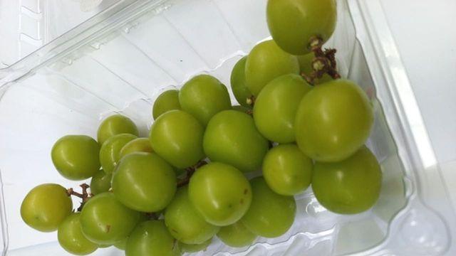 '차원이 다른 달콤함과 아삭함..' 인기 시들해진 샤인머스캣 자리 노리고 있는 신종 '프리미엄 포도' 정체