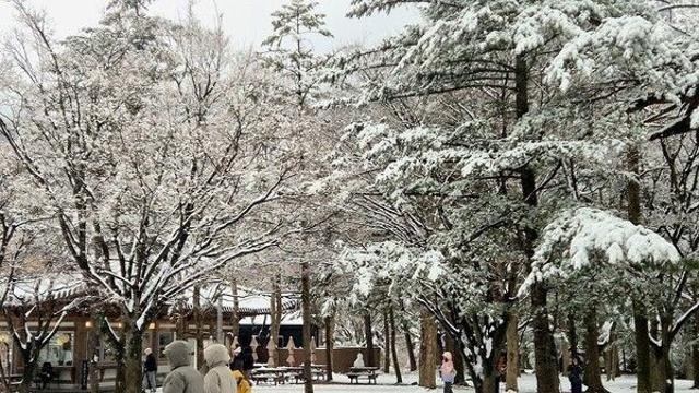 [날씨] 경북·경남 ‘최대 10㎝ 폭설’ 예고…내륙 곳곳 빙판길 주의