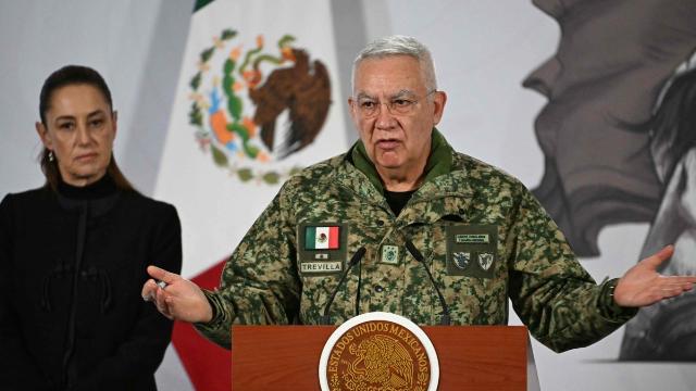 '악당' 제거뒤 멕시코 혼돈 우려…월드컵 앞두고 안정화 숙제