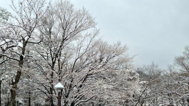 [내일날씨] 전국 눈·비 예보...경상권 최대 10㎝ 눈 내린다
