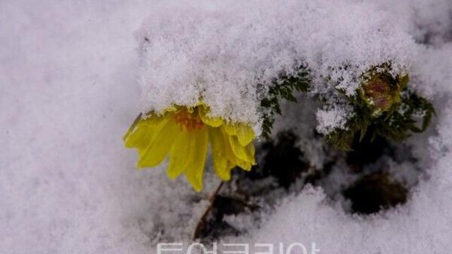 [포토] 봄이 오는 풍경