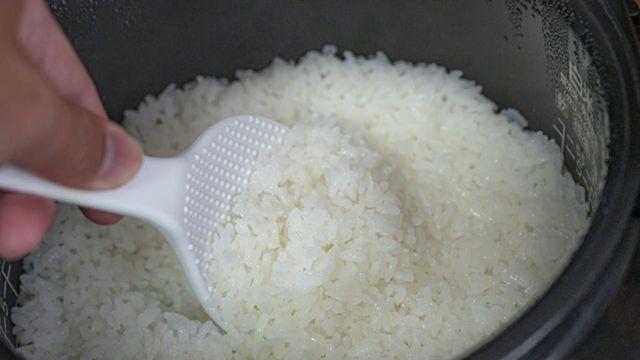 '지금까지 계속 이렇게 먹었는데..' 한국인 10명 중 9명이 모르고 있는 전기 밥솥 '보온 모드'의 충격 진실