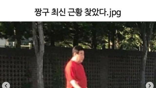 흰둥이도 많이컸네..