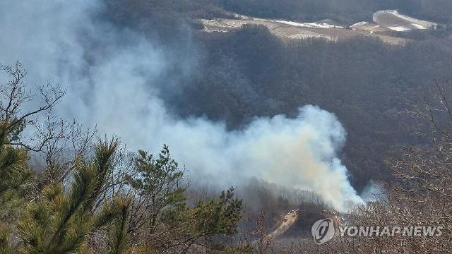 강원 정선 산불 1시간 40분 만에 꺼져…0.5㏊ 소실(종합)