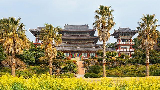 봄 여행 검색량 65% 증가… 호텔스닷컴, 벚꽃 여행 가이드 공개