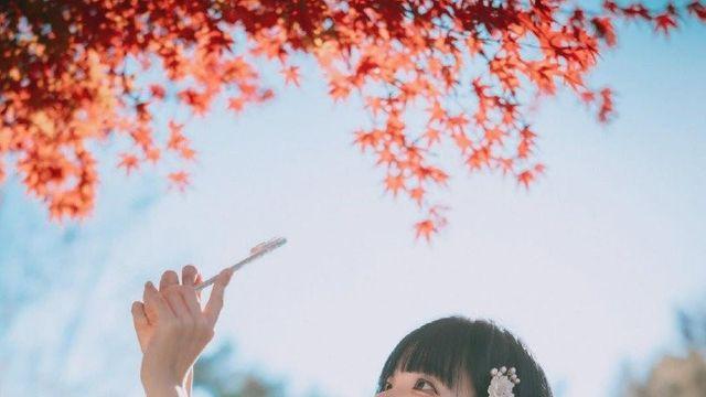 나혼산으로 증명된 깨진 유리창 법칙.jpg