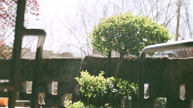 15년된 필름 쪄왔어요