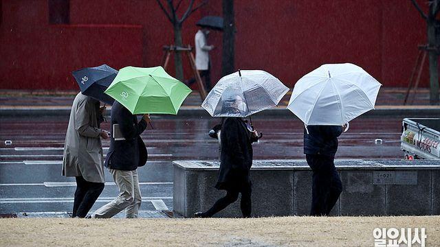 <오늘의 날씨> 낮 최고 16도 포근⋯곳곳 눈·비