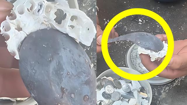 “유골 속에 왜 ‘쇠숟가락’이?”…군 가혹행위 의혹 휩싸인 태국