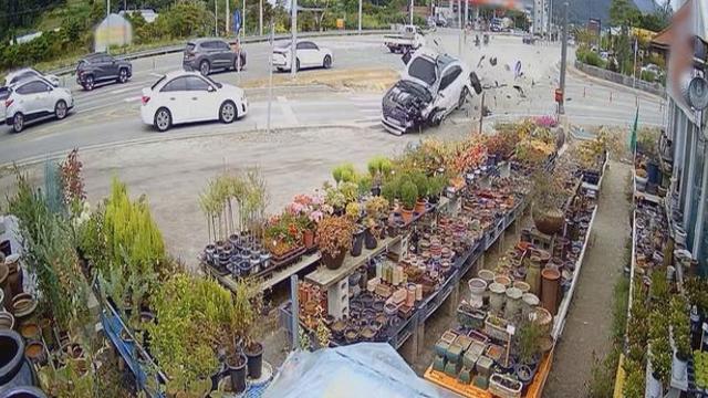 역주행 돌진에 초토화…농원 피해액 1억2천 심각 (한블리)