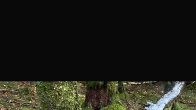 진짜 신기한 자연발생 얼음 형태.jpg