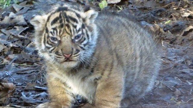 왕사남 600만 소식에 윤종신 욱겨 ㅋㅋㅋㅋ