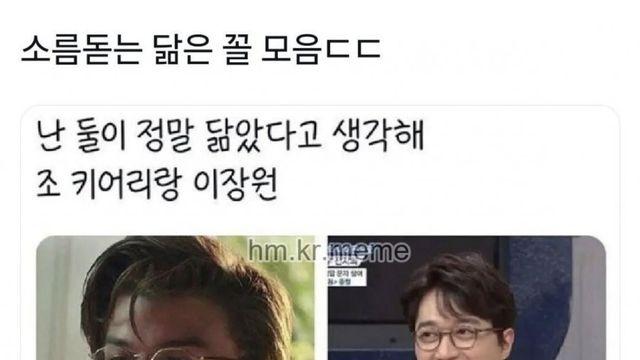 닮은꼴 모음