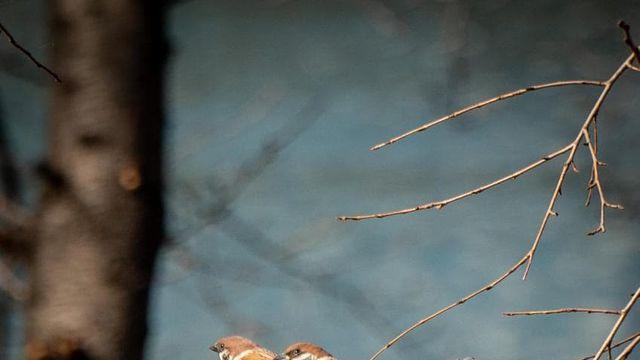 석촌호수 미니새찍